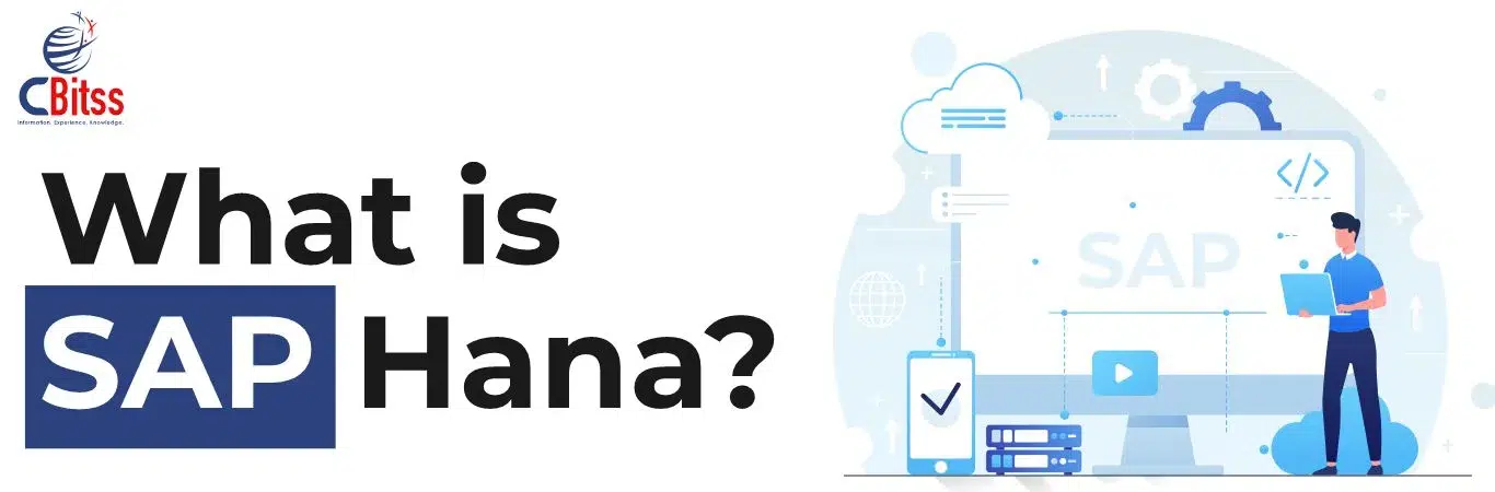 What is SAP Hana