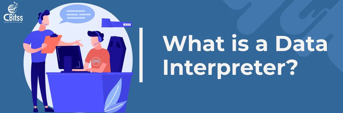 What is a Data Interpreter